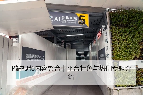 P站视频内容聚合｜平台特色与热门专题介绍